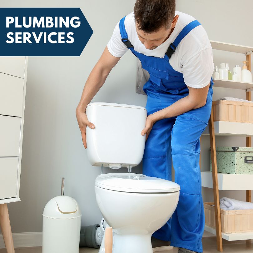 Plumbing Company in Litchfield Park, AZ